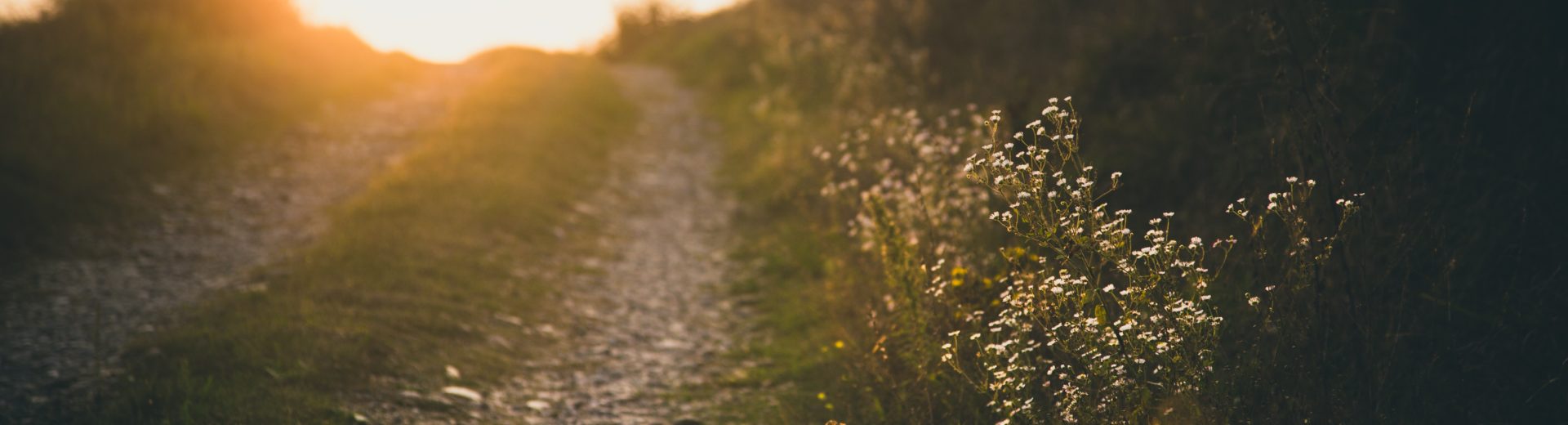 Different perspective - TinaJ - 